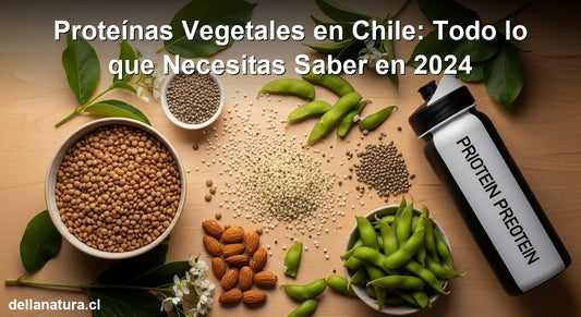 Fuentes de proteínas vegetales en Chile: legumbres, semillas y bebidas proteicas naturales