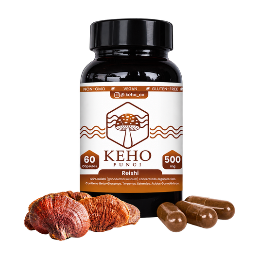 Reishi Cápsulas — Keho