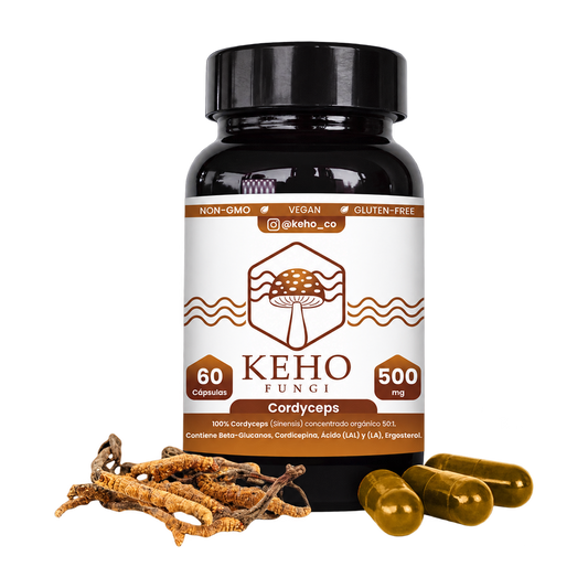 Cordyceps Cápsulas — Keho